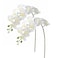 Htmeing 2pcs Real Touch Orchids Stems Artificial Flowers Fake Phalaenopsis Orchid for Table Centerpiece Home Kitchen Wedding Party Decoration white