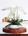 ICBOX 38 White Orchids Artificial Flowers Velvet Silk Orchids 6 PCS Faux Orchids Long Stem Artificial Flowers for Tall Vase Home Wedding DecorationWhite