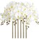 ICBOX 38 White Orchids Artificial Flowers Velvet Silk Orchids 6 PCS Faux Orchids Long Stem Artificial Flowers for Tall Vase Home Wedding DecorationWhite