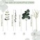 Coreland Artificial Eucalyptus Leaves Stems 120 Pcs 4 Kinds Mixed Fake Silver Dollar Eucalyptus Leaves Stem Bulk Faux Leaf for DIY Bouquets Floral Arrangement Wedding Home Decor