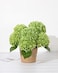 DuHouse 3Pcs Large Hydrangea Artificial Flowers20 inch Latex Real Touch Hydrangeas Lifelike Hydrangea Flower for Home Wedding Bouquets Centerpieces Party Living Room DecorationGreen