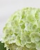 DuHouse 3Pcs Large Hydrangea Artificial Flowers20 inch Latex Real Touch Hydrangeas Lifelike Hydrangea Flower for Home Wedding Bouquets Centerpieces Party Living Room DecorationLight Green