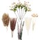 RoseTalk Simulation Flower Decor Luxury Faux Flower Arrangements Realistic Artificial Flowers with Beige White Peonies Dried Pampas Grass Bunny Tails Eucalyptus