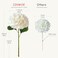 JINWOE Boho Silk Hydrangea Artificial Flowers 5Pcs Cream 20Inch Large Lifelike FlowersArtificial Hydrangeas for Indoor Bouquet Table Centerpieces Home Outdoor Wedding