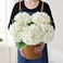 JINWOE Boho Silk Hydrangea Artificial Flowers 5Pcs Cream 20Inch Large Lifelike FlowersArtificial Hydrangeas for Indoor Bouquet Table Centerpieces Home Outdoor Wedding