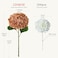 JINWOE 5Pcs Silk Hydrangea Artificial Flowers 20Inch Large Lifelike Boho FlowersArtificial Hydrangeas for Indoor Bouquet Table Centerpieces Floral Arrangements Home Wedding HomeBrown Yellow