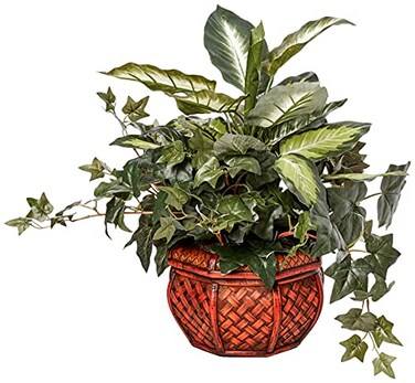 Nearly Natural Dieffenbachia Ivy with Decorative Planter