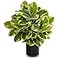 Nearly Natural Artificial Rubber Plant in Glossy Cylinder Real Touch