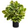 Nearly Natural Artificial Rubber Plant in Glossy Cylinder Real Touch