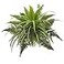 Nearly Natural 22in Mixed Greens and Fern Artificial Bush Plant Set of 3