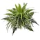 Nearly Natural 22in Mixed Greens and Fern Artificial Bush Plant Set of 3