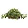 Nearly Natural 34in Artificial Pothos Ivy Plant with Ledge Basket Faux Trailing Cascading Greenery for Indoor Home Decor