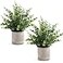 Coferset 2 Pack Small Fake Plants 14 Eucalyptus Potted Artificial Plants for Shelf Desk Home Bathroom Farmhouse Room Coffee Table Decor Sage GreenLarge