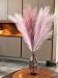 Chousse 43 36 ft Pampas Grass Tall 4 Pcs Faux Pampas Grass Bulk Artificial Large Pampas Grass Decor for Floor Vase Room Decor Home Decor Boho Decor Pink Mauve