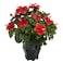 Nearly Natural Hibiscus with Black Hexagon Vase Silk Plant