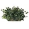 Nearly Natural Ivy Ledge Plant Set on Foam Silk Plant