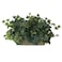 Nearly Natural Ivy Ledge Plant Set on Foam Silk Plant