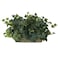 Nearly Natural Ivy Ledge Plant Set on Foam Silk Plant