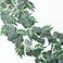 Mizii 2 Strands Artificial Vines Eucalyptus Garland 79 Fake Vine with Silk Green Leaves Faux Hanging Plants Greenery Decorations for Bedroom Table Centerpieces Party Wedding Room Decor Eucalyptus