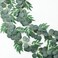 Mizii 2 Strands Artificial Vines Eucalyptus Garland 79 Fake Vine with Silk Green Leaves Faux Hanging Plants Greenery Decorations for Bedroom Table Centerpieces Party Wedding Room Decor Eucalyptus