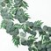 Mizii 2 Strands Artificial Vines Eucalyptus Garland 79 Fake Vine with Silk Green Leaves Faux Hanging Plants Greenery Decorations for Bedroom Table Centerpieces Party Wedding Room Decor Eucalyptus
