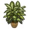 Nearly Natural Artificial Dieffenbachia Plant Faux Greenery in Ceramic Planter for Indoor Home Decor
