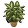 Nearly Natural Artificial Dieffenbachia Plant Faux Greenery in Ceramic Planter for Indoor Home Decor