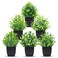 Der Rose 6 Pack Fake Plants Mini Artificial Plants for Home Office Farmhouse Bathroom Shelf Decor Indoor