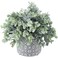 MyGift Artificial Eucalyptus Plant in Modern Gray Concrete Pots with Geometric Embossed Pattern 1 Grey