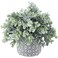 MyGift Artificial Eucalyptus Plant in Modern Gray Concrete Pots with Geometric Embossed Pattern 1 Grey