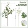 Beferr 5pcs Eucalyptus Stems 6pcs Babys Breath Artificial Flowers Faux Greenery Bouquets for Wedding Table Centerpiece Home Decor