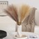 Wertuirk 30pcs Pampas Grass Decor 24 Inch Boho Home Decor Artificial pompas Floral Small Faux Pompous Grass for Table Centerpieces Wedding and Baby Shower Decorations