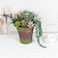 COTSEN 25 Pcs Artificial Succulent Plants Fake Succulents Assorted Unpotted Suitable for Office Garden Interior Decor