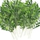 WONICE Artificial Italian Ruscus Greenery Stems Faux Green Leaf Garland Branches Hanging Greenery Spray for Wedding Bouquet Arch Table Centerpiece Home Decor Green10 Pack