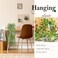 Der Rose 8Pcs Fake Plants Hanging Artificial Ivy Vine Faux Eucalyptus Hanging Plants for Home Boho Wall Shelf Indoor Outdoor Decor White Pots