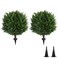 InnovLeaf 22T Artificial Cedar Topiary Ball Tree 2 Pack Outdoors Artificial Shrubs Faux Plants Uv Rated Perfect for Outdoor Indoor Easy to Install