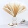 MUUNC Pampas Grass Decor 30 Pcs 217 Inch Faux Brown Pampas Grass Bulk Artificial Dried Flowers Small Vase Filler Pompas Grass