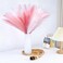 MUUNC Pink Pampas Grass Decor 30 Pcs 217 Inch Faux Pampas Grass Bulk Artificial Dried Flowers Small Vase Filler Pompas Grass