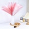 MUUNC Pink Pampas Grass Decor 30 Pcs 217 Inch Faux Pampas Grass Bulk Artificial Dried Flowers Small Vase Filler Pompas Grass