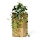 CADNLY Realistic Artificial Plants Indoor in Pot Green Faux Hanging Plants Artificial Decor Fake Pothos Potted Home Decor Shelves Tabletop Office 1 Pack
