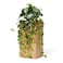 CADNLY Realistic Artificial Plants Indoor in Pot Green Faux Hanging Plants Artificial Decor Fake Pothos Potted Home Decor Shelves Tabletop Office 1 Pack