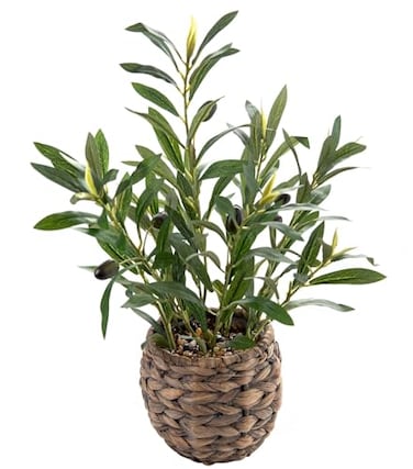 Ainuowei 177 Small Boho Artificial Olive Plant Faux Greenery in Brown Handwoven Rattan Basket Ideal for Office Desk Kitchen Shelf Home Decor