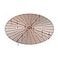 Modixun 1Pack Large Plant Pot Grid Cuttable Flower Pot Soil Cover Protectors with Deep Stakes Dogs Cats Digging Stopper Plant Grid Pot Cover 52cm205in Diameter