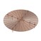 Modixun 1Pack Large Plant Pot Grid Cuttable Flower Pot Soil Cover Protectors with Deep Stakes Dogs Cats Digging Stopper Plant Grid Pot Cover 52cm205in Diameter