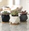 Chez JuJu Modern Geometric Ceramic Succulent Pots 3 Planters with Drainage Bamboo Tray 3 Pack