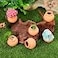 Toddmomy Mini Clay Pots 6Pcs Mini Terracotta Clay Pots Pottery Planter Miniature Flower Containers for Succulent Plants DIY Garden Dollhouse and Home Decor