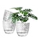 Etvski Self Watering Pots for Indoor Plants Flower Pots Self Watering Plant Pot3pcs 6inch Clear