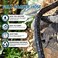 Suneed 3 Pack Flat Soaker Hose 50 ft for Garden Beds Cloth Soaker Hose 150 ft for Efficient Effective Watering of Plants Garden Soaking Drip Hoses Heavy Duty Easy to Install 50FT 3Pack