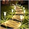 DenicMic Solar Lights Outdoor 10 Pack Waterproof 3000K Warm White LED Stainless Steel Stake Outside Lights for Yard Pathway Garden Driveway Walkway Landscape Path Lighting