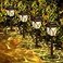 Springwind 8 Pack Solar Lights Outdoor Waterproof Garden Lights with Warm LED Light Landscape Lighting for Yard Patio Lawn Walkway Driveway